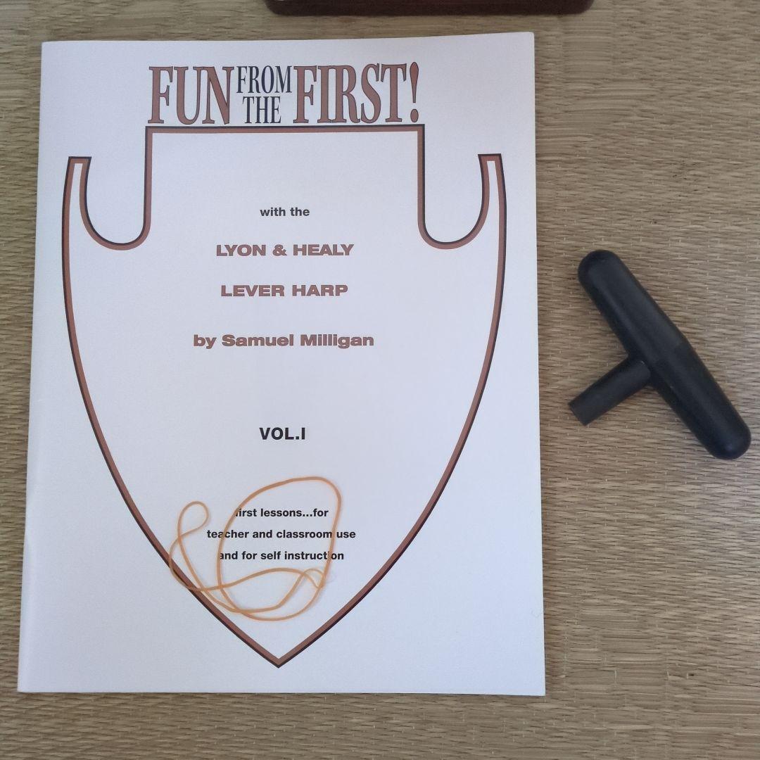 青山サウルハープ　２５弦