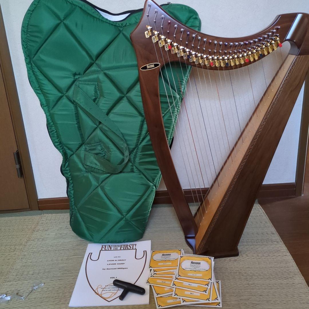 青山サウルハープ　２５弦