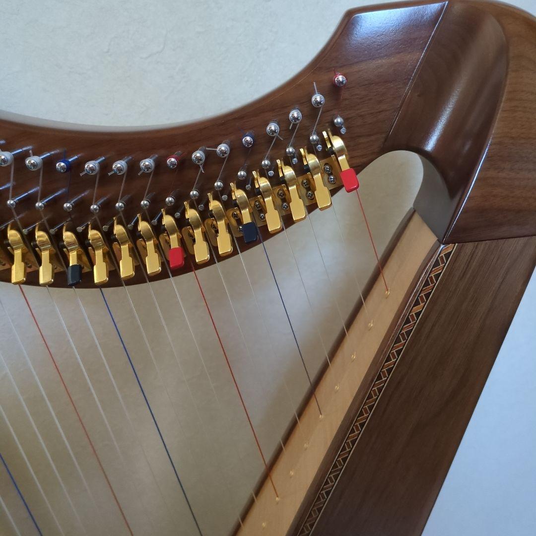 青山サウルハープ　２５弦