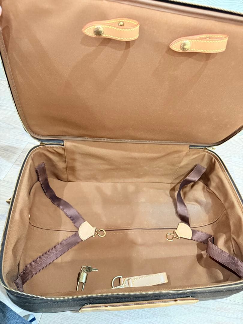 LOUIS VUITTONモノグラムペガス50キャリーバッグ