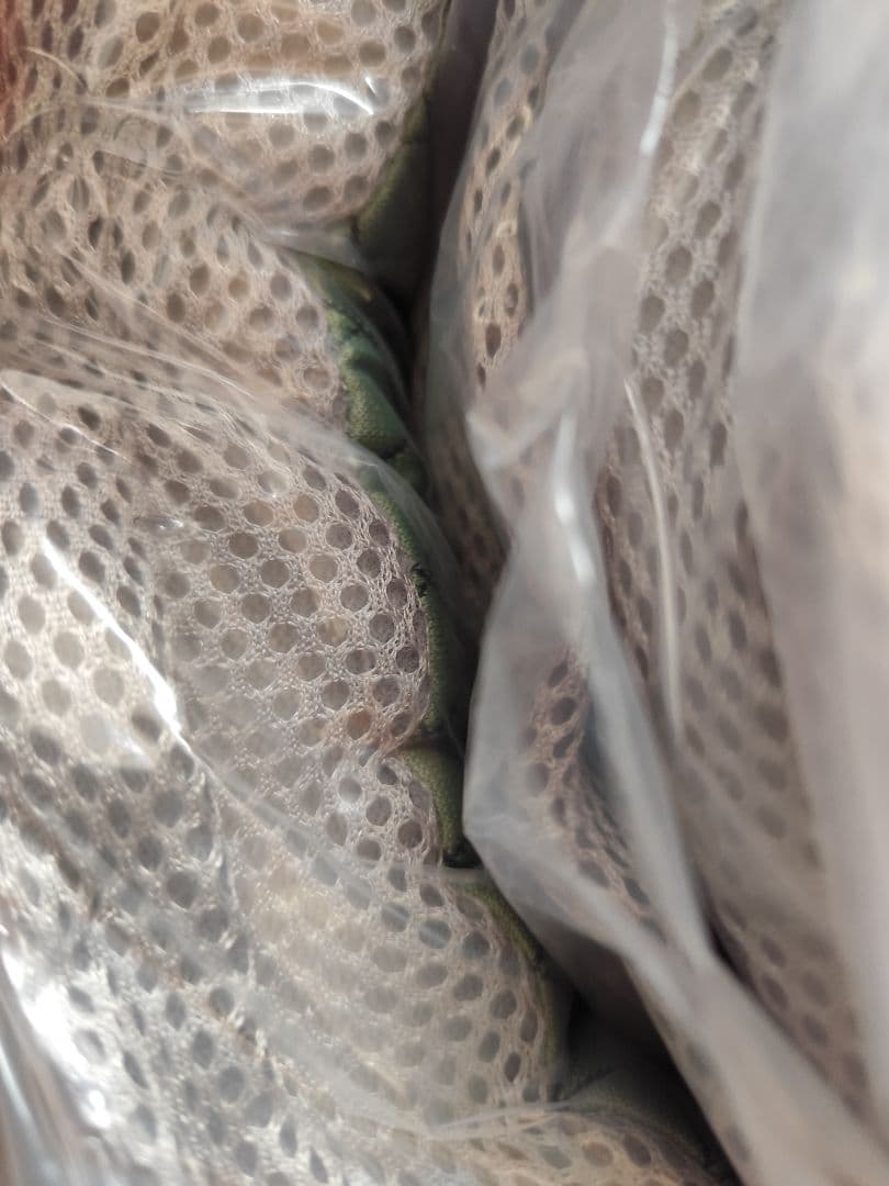 マットレス ❢ セミダブル 【高反発 硬め190N 厚さ10cm】折りたたみ 緑