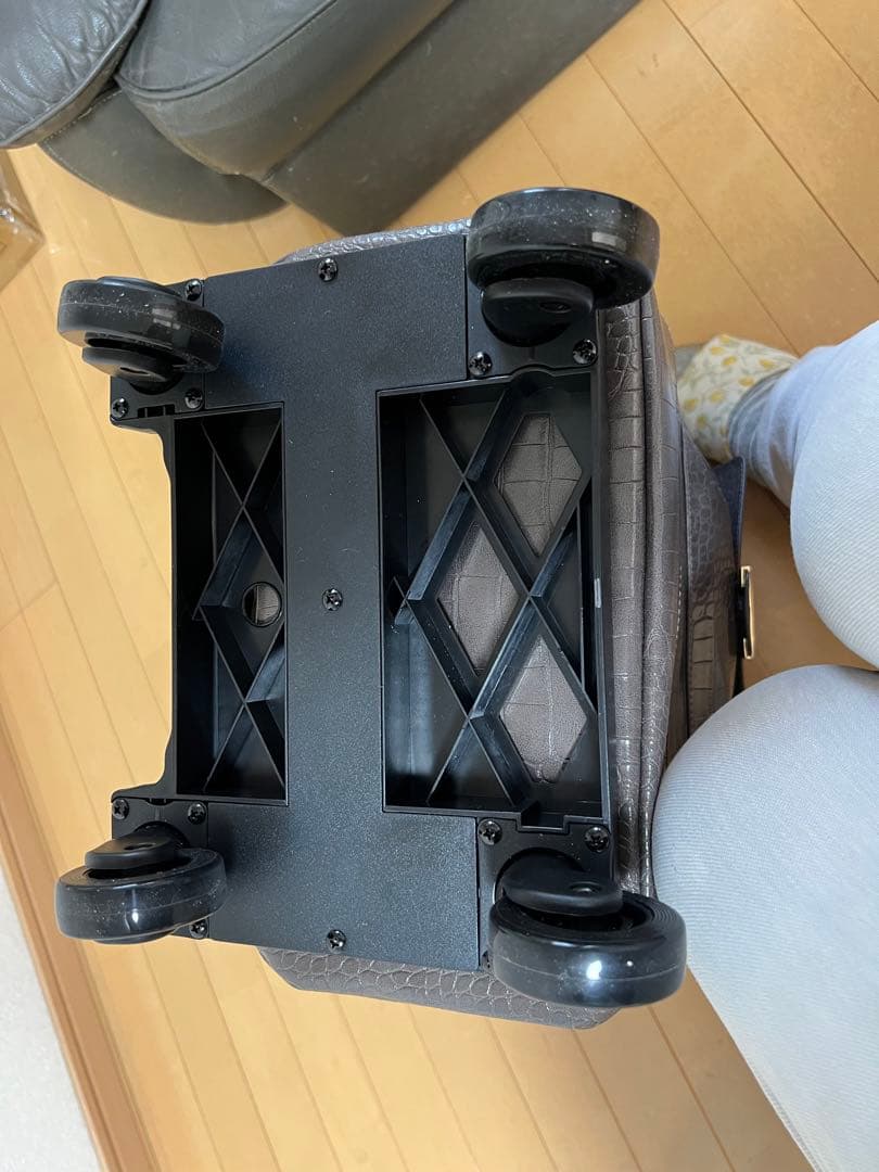 藤井　　　SWANY キャリーケース