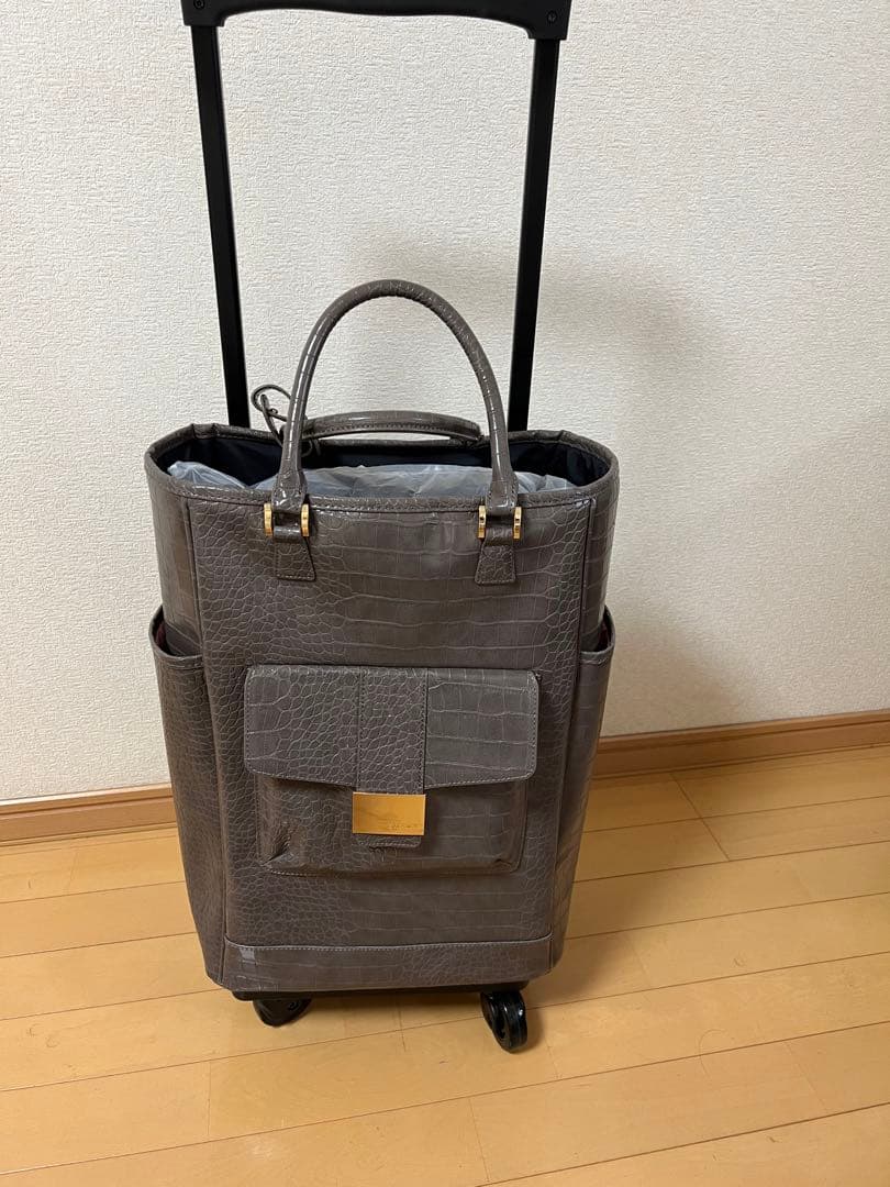 藤井　　　SWANY キャリーケース