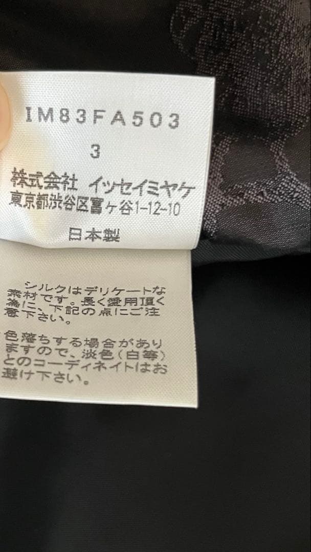 イッセイミヤケ エイポック コート