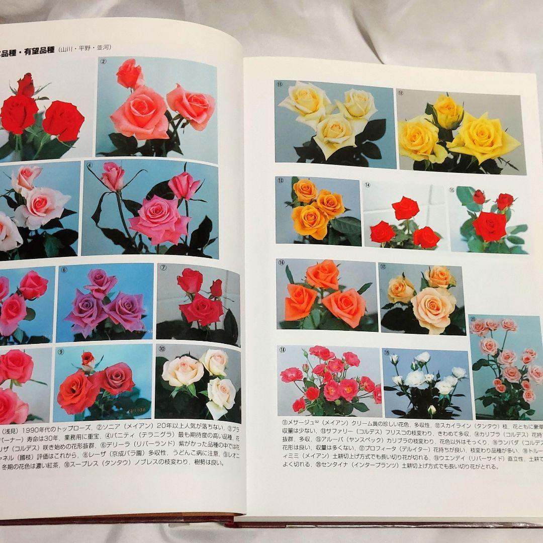 【希少！　初版！　美品】　花卉園芸大百科 10バラ　送料込み