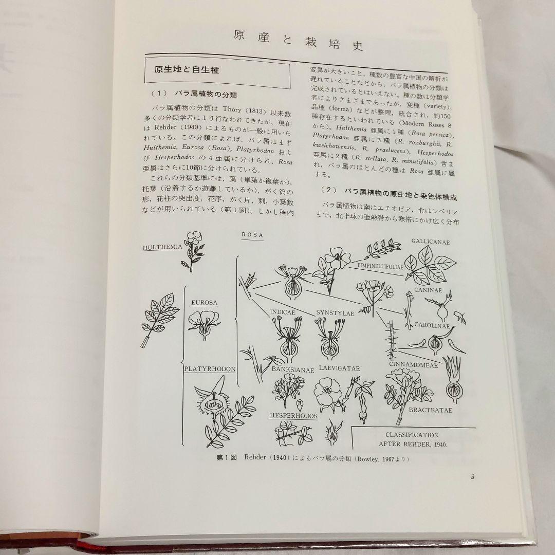 【希少！　初版！　美品】　花卉園芸大百科 10バラ　送料込み