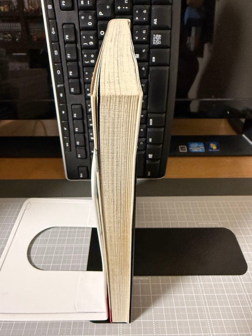 ロックンロール以外は全部嘘　カネコアツシ