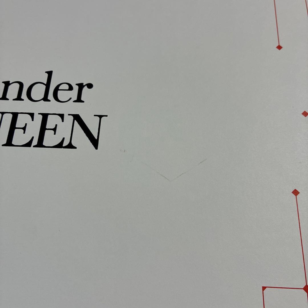 アレキサンダーマックイーン 厚底 レディーススニーカー黒白 23cm新品 正規品