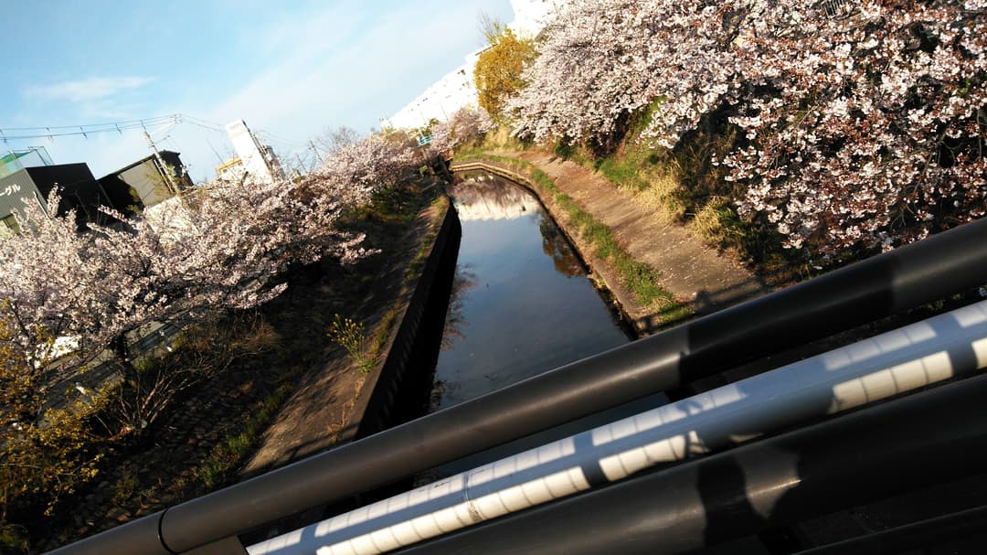 ひなちくんさん専用