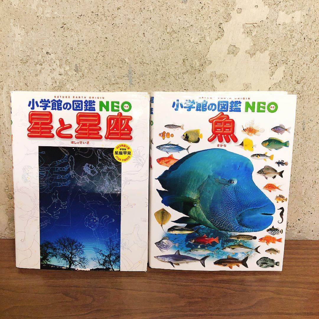 小学館の図鑑NEO　10冊セット　まとめ売り