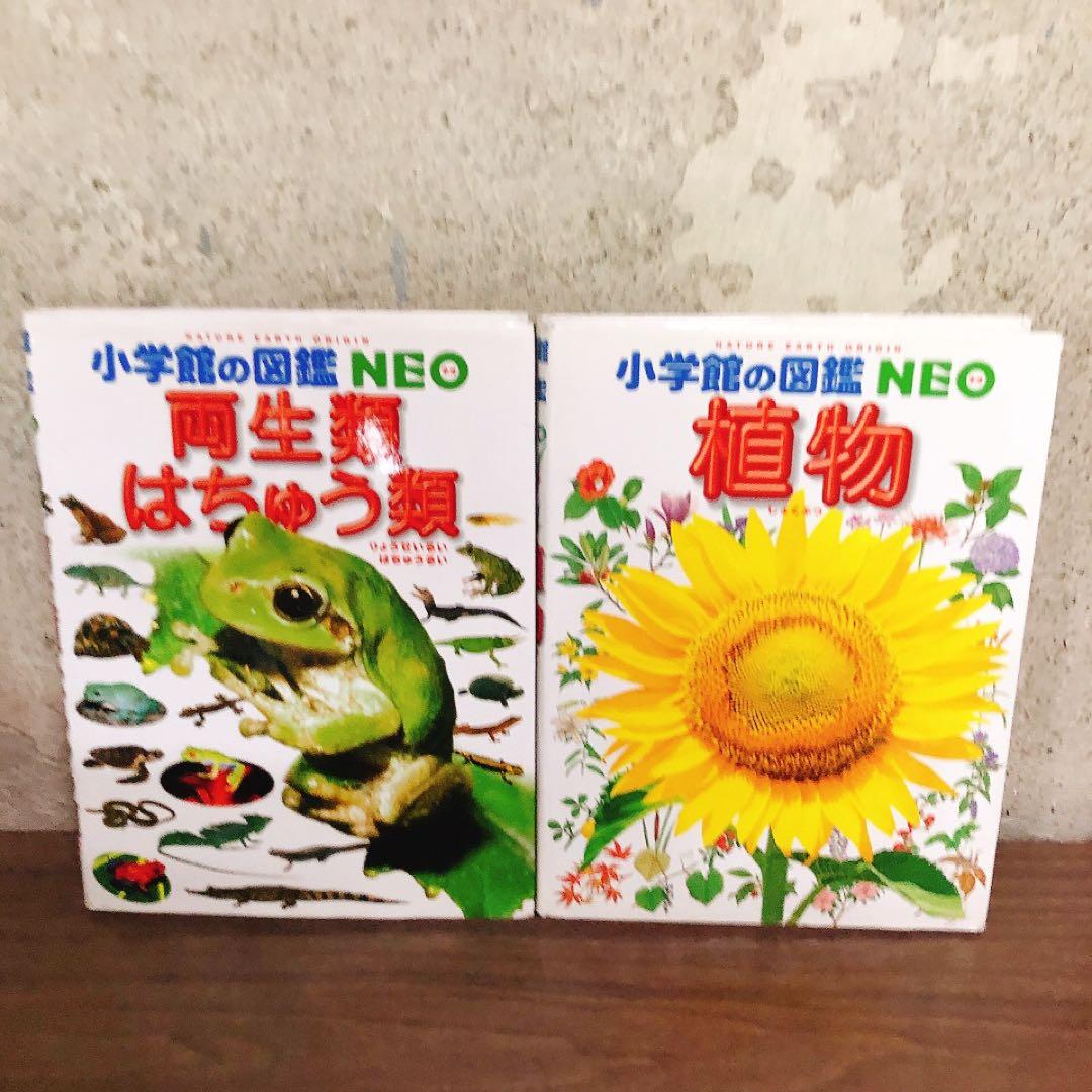 小学館の図鑑NEO　10冊セット　まとめ売り