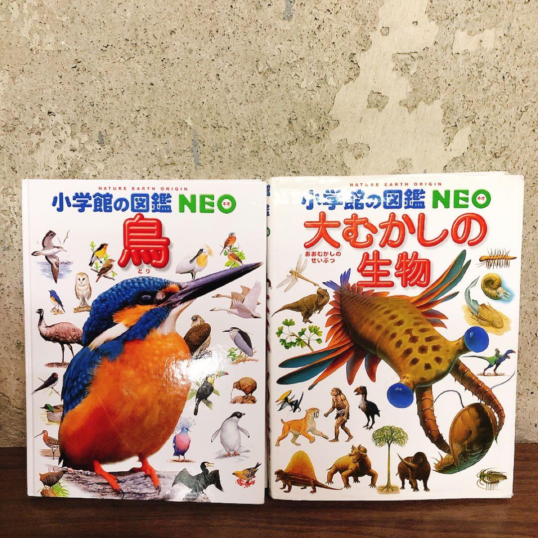 小学館の図鑑NEO　10冊セット　まとめ売り
