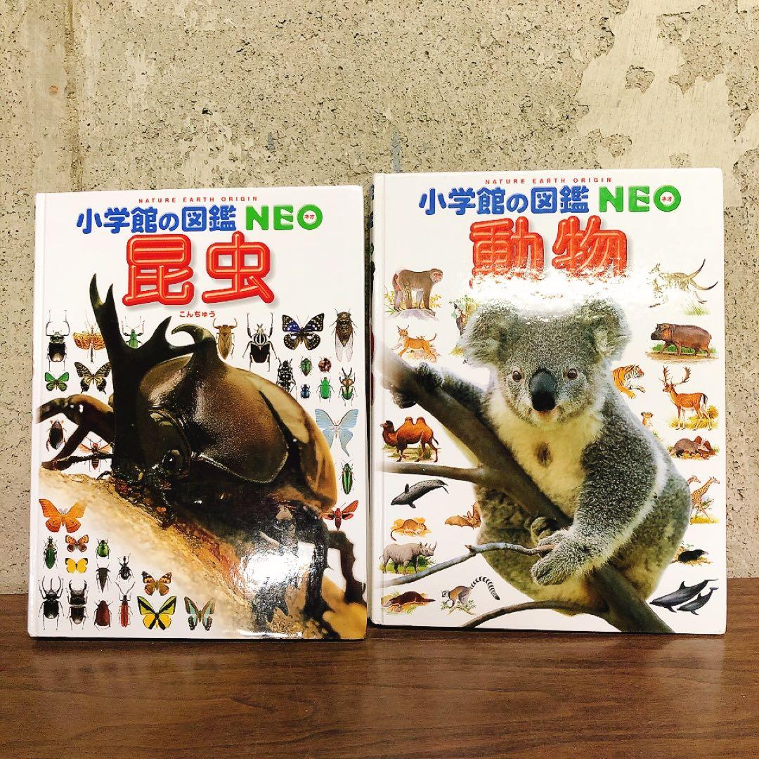小学館の図鑑NEO　10冊セット　まとめ売り