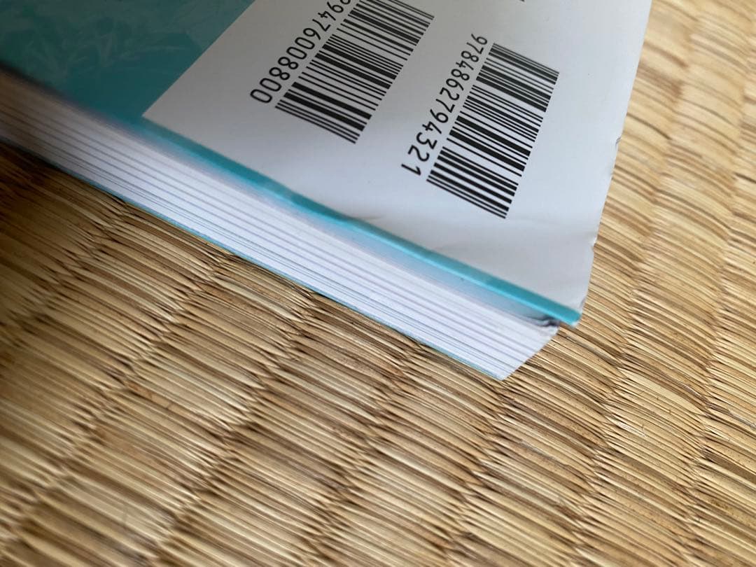 東本昌平　RIDEX CAROLAWAY HALMAN