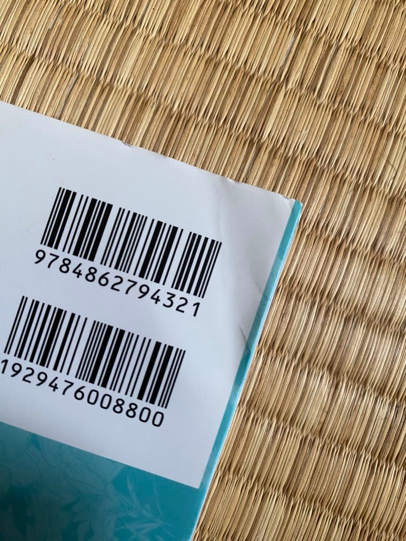 東本昌平　RIDEX CAROLAWAY HALMAN