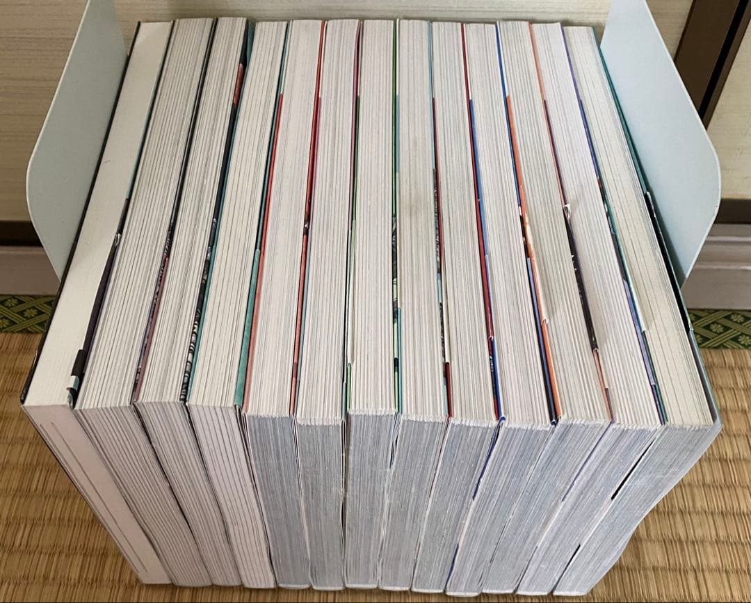 東本昌平　RIDEX CAROLAWAY HALMAN