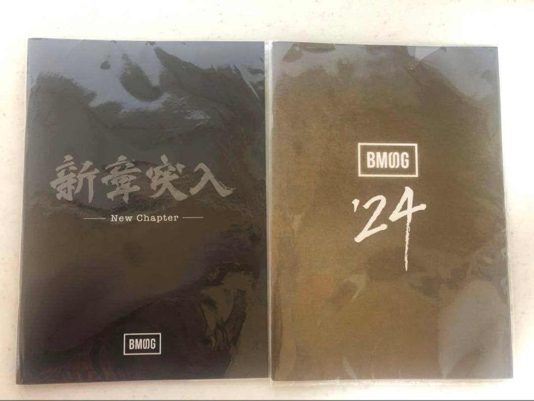 BMSG FES 22 23 DVD等まとめ売り 銀テ付き BMSG限定版