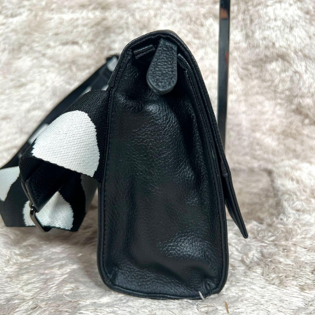 極美品✨ イアパピヨネ　ワイドテープ　ショルダーバッグ　ダルメシアン柄