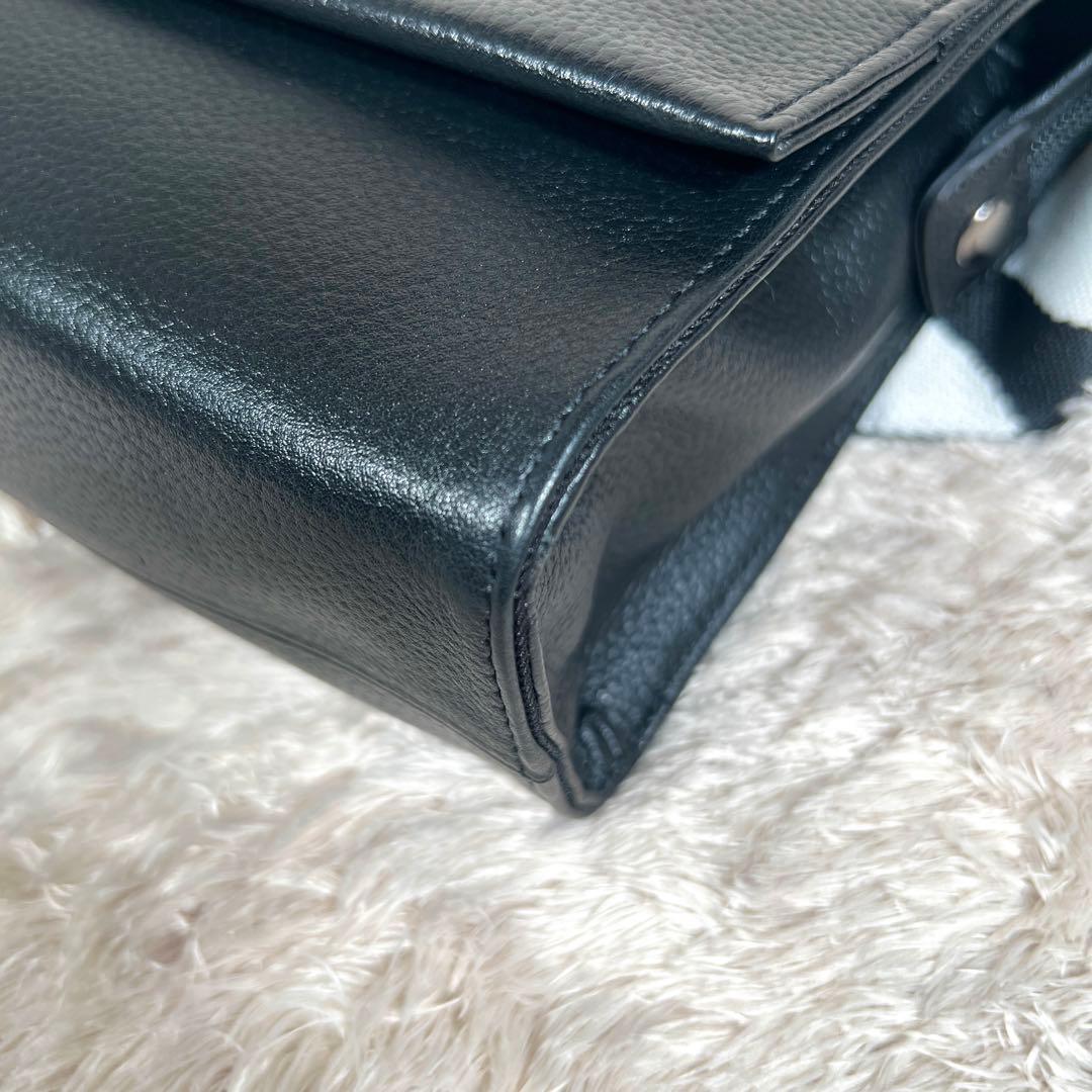 極美品✨ イアパピヨネ　ワイドテープ　ショルダーバッグ　ダルメシアン柄