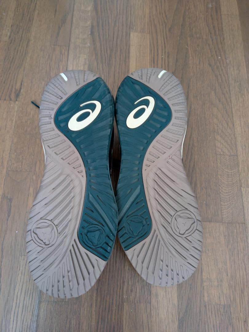 テニスシューズ オールコート, アシックス(男性用),