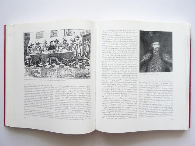 洋書◆オイゲン王子とバロック様式のオーストリア写真集 本 絵画 建築 世界史