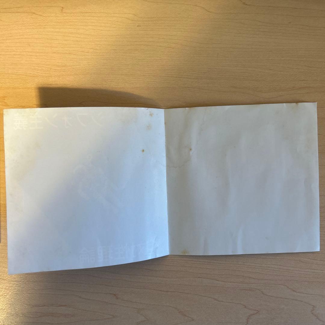 廃盤CD-R 相対性理論 シフォン主義 4,000枚限定自主制作盤