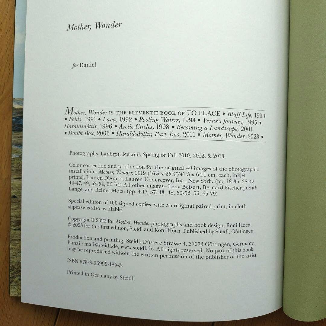 Roni Horn Ísland MotherWonder ロニホーン