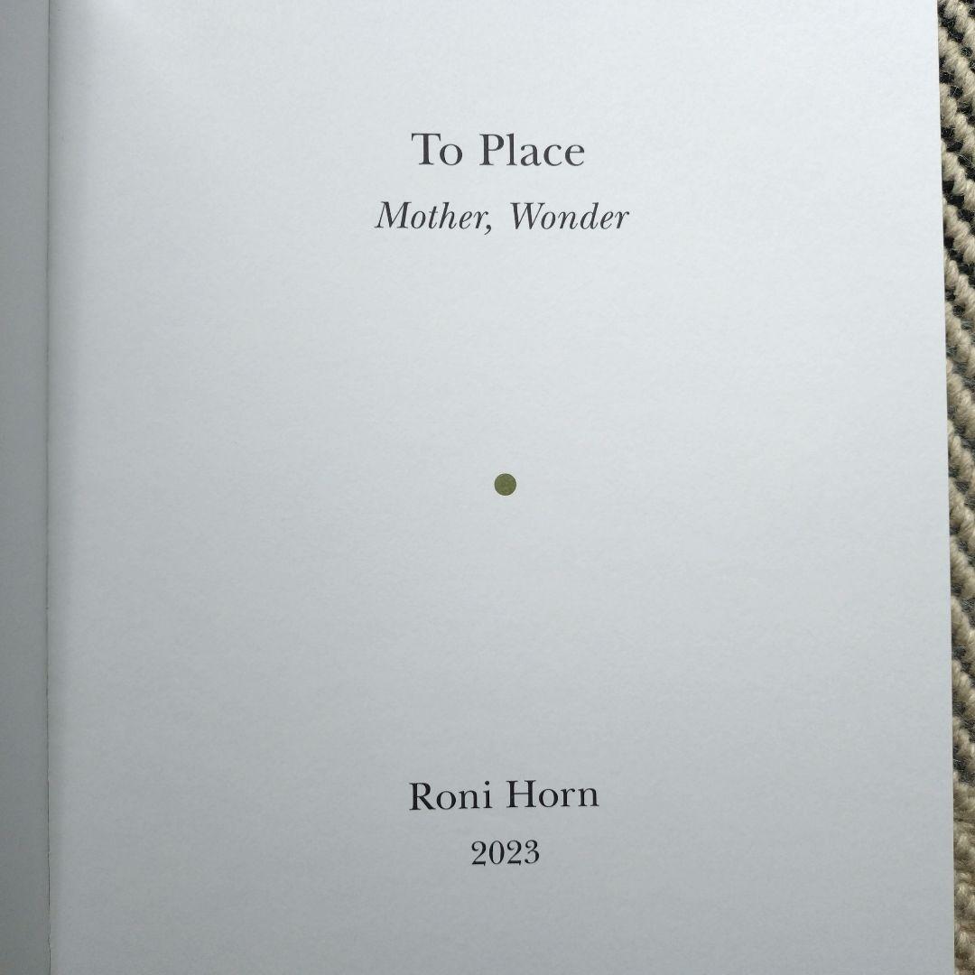 Roni Horn Ísland MotherWonder ロニホーン