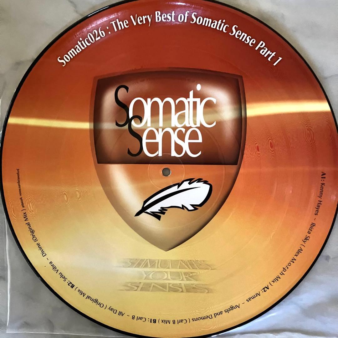 The Very Best of Somatic Sense Pt.1 希少レア