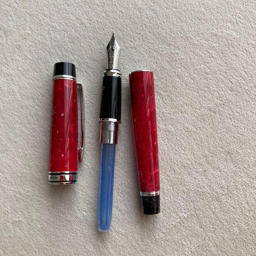 【希少品】　パイロット万年筆・レガンス　⚠️プレゼントで名入りです⚠️