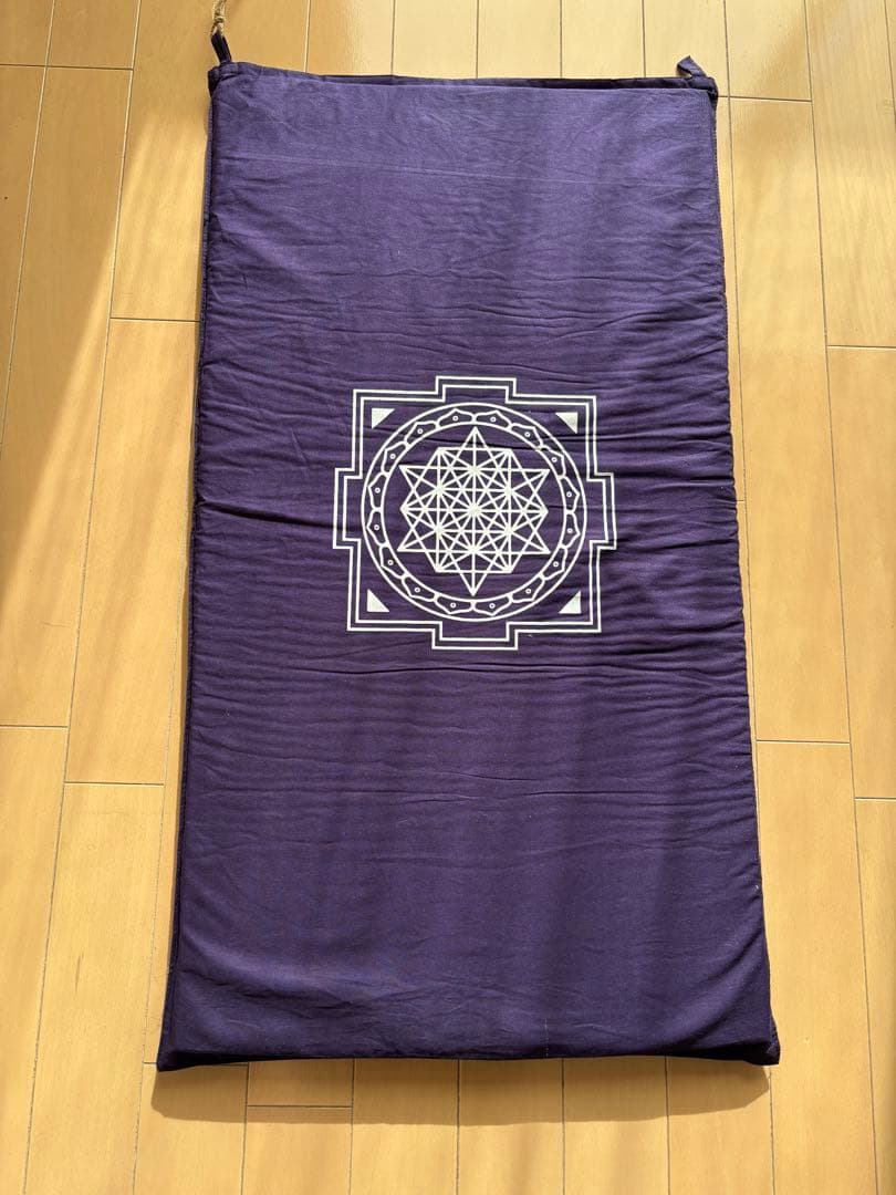 み*い様 【正規品】究極のシャクティセット Advance / Indigo