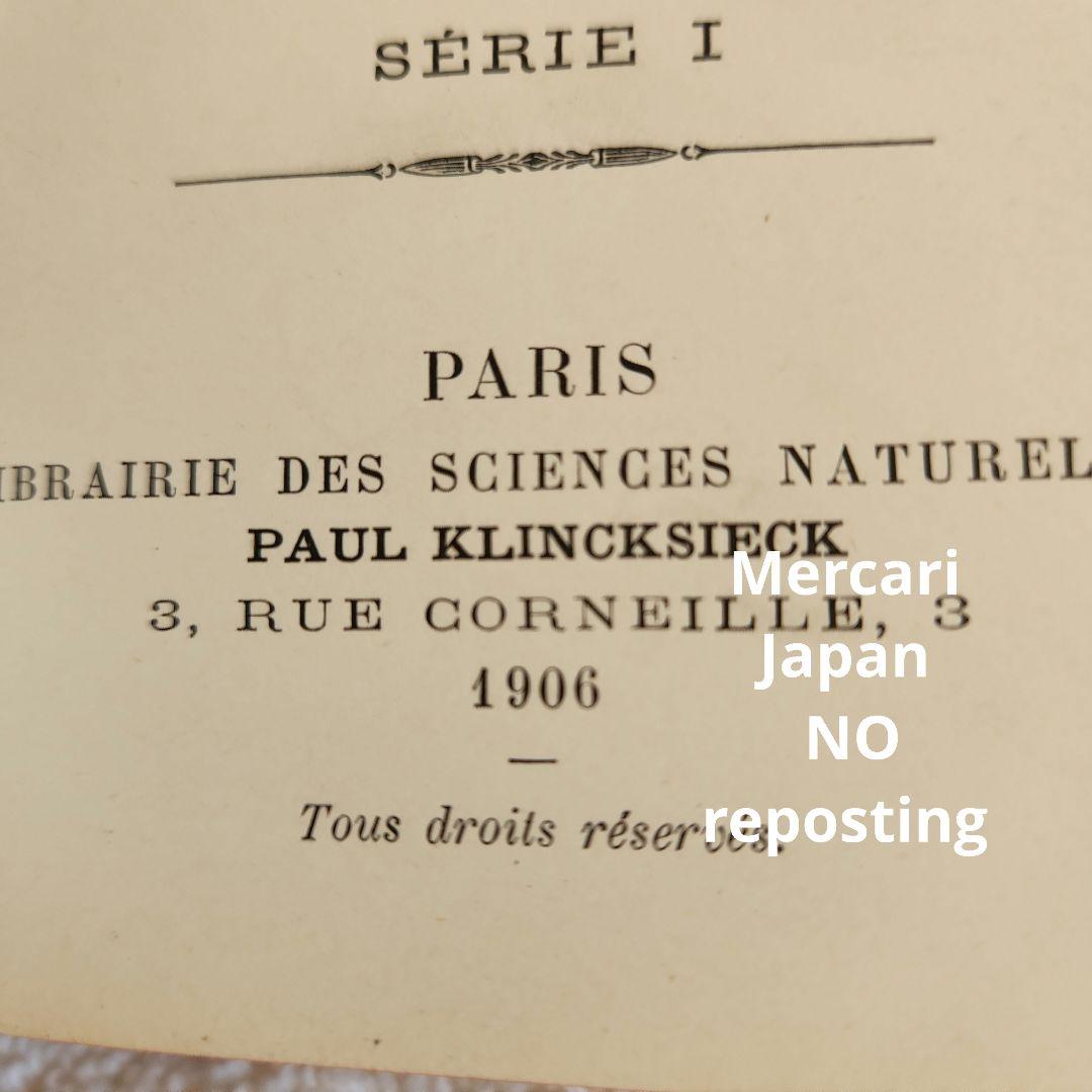 植物図鑑　洋書　ボタニカルアート　フランスアンティーク　　古書　14