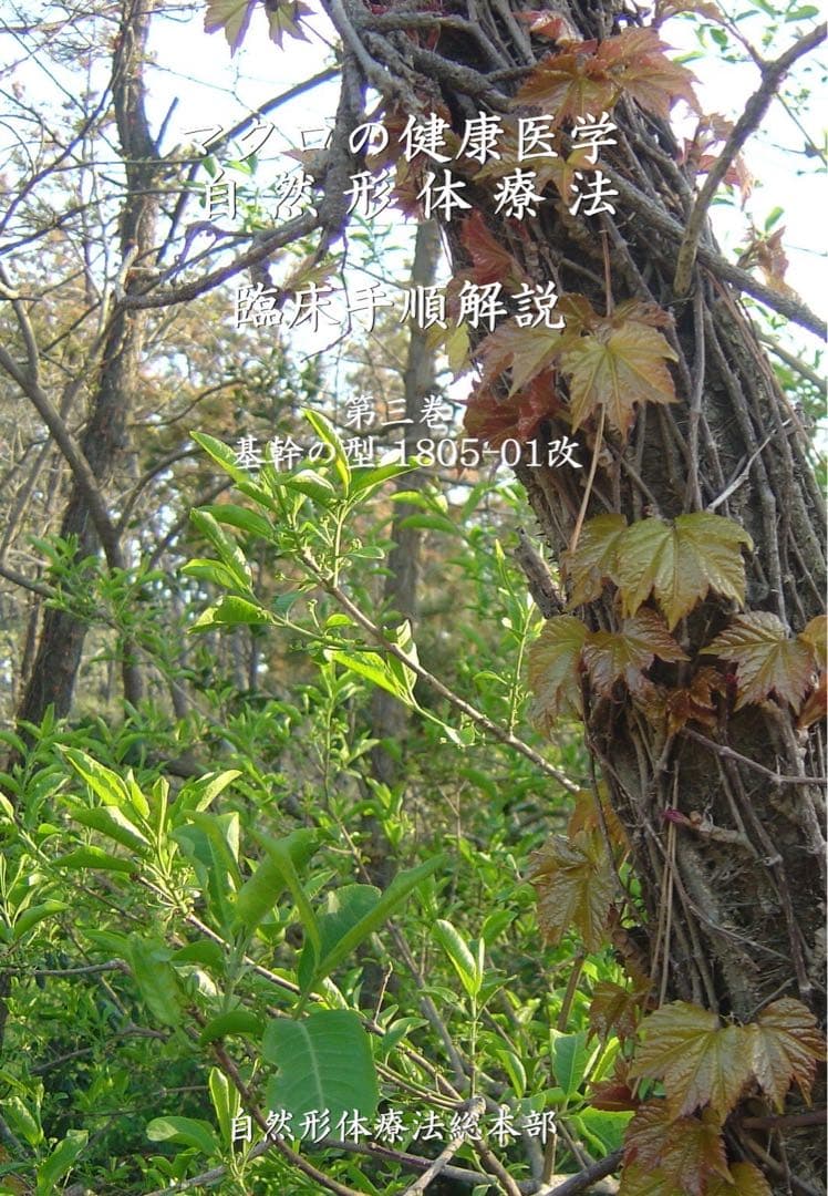 自然形体療法 非売品教材