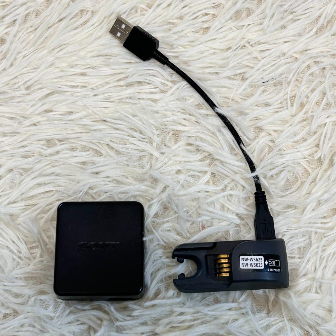 レア　SONY　ソニー　イヤホン　ワイヤレス　ブラック　NW-WS623