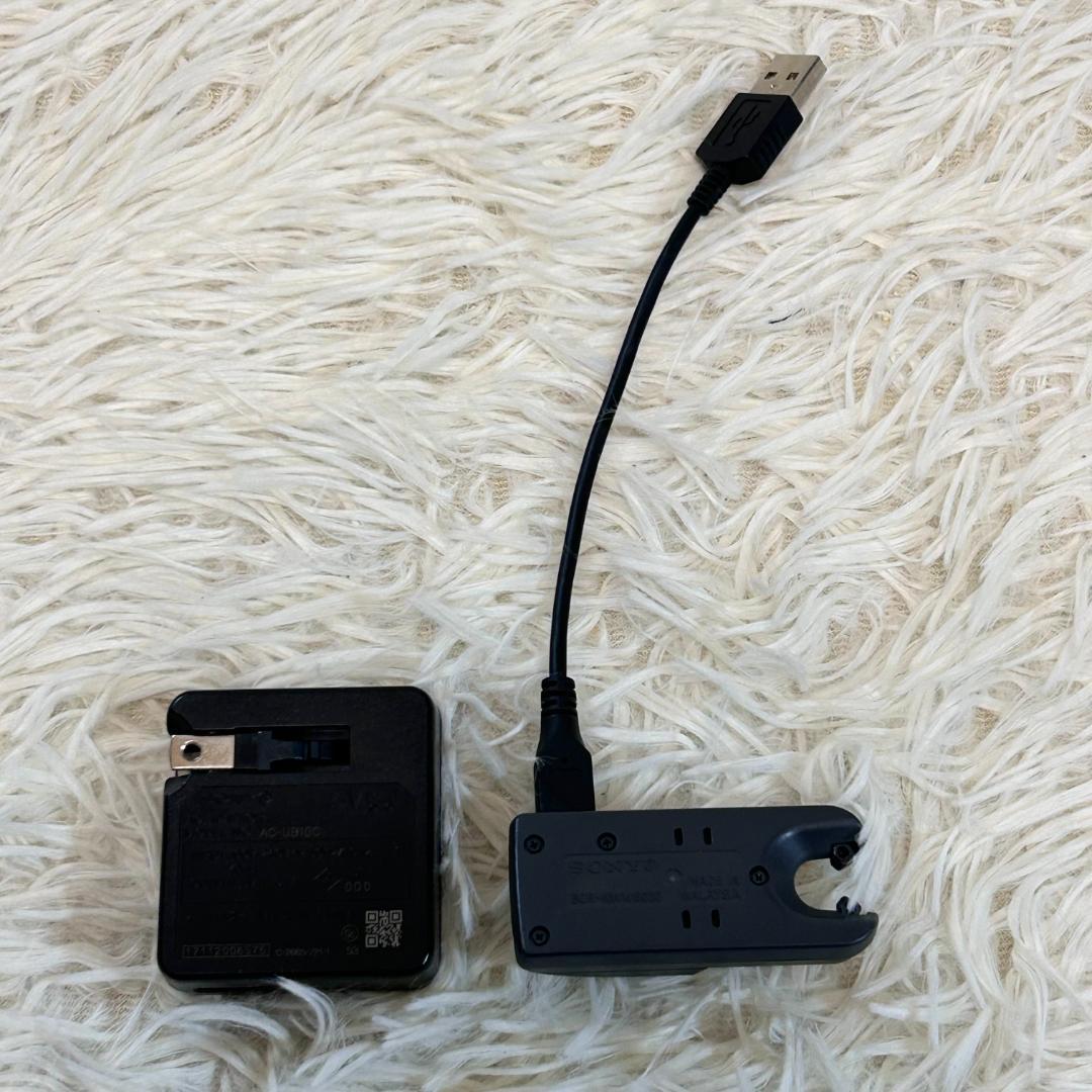 レア　SONY　ソニー　イヤホン　ワイヤレス　ブラック　NW-WS623