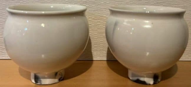 鈴木環　ピジョンカップ　中　白　М