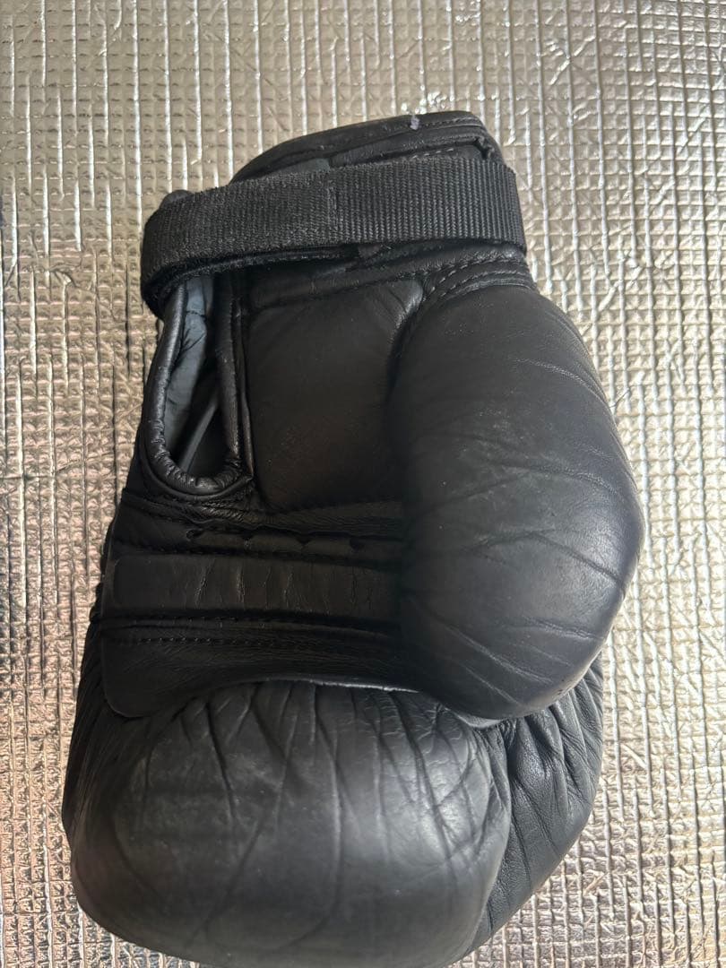 日本拳法　徳大グローブ