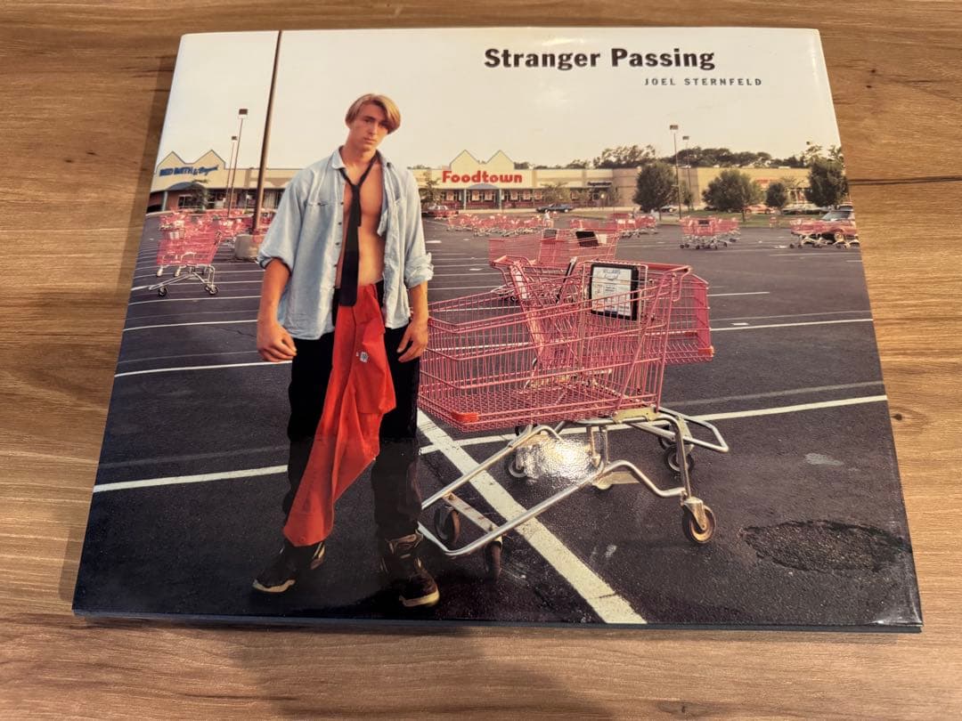 アート・デザイン・音楽 Stranger Passing Joel Sternfeld
