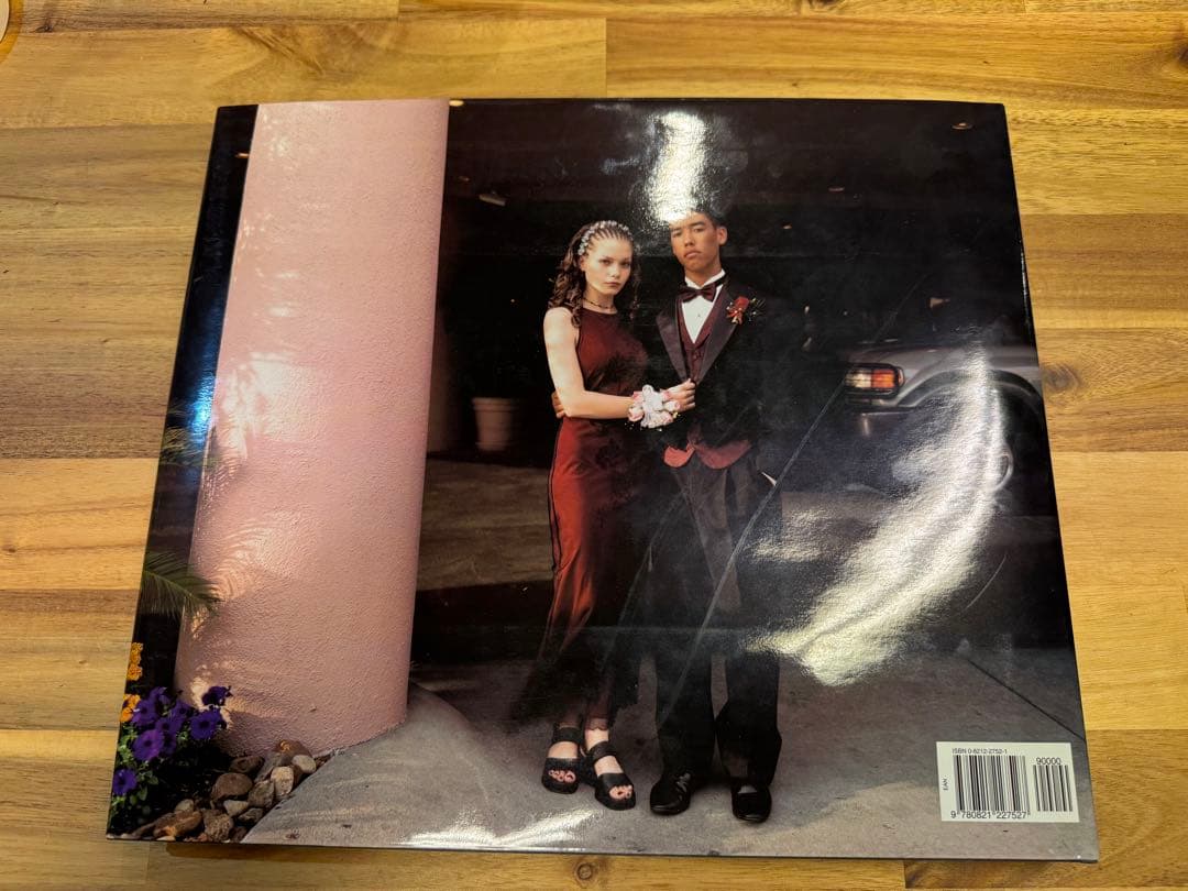 アート・デザイン・音楽 Stranger Passing Joel Sternfeld