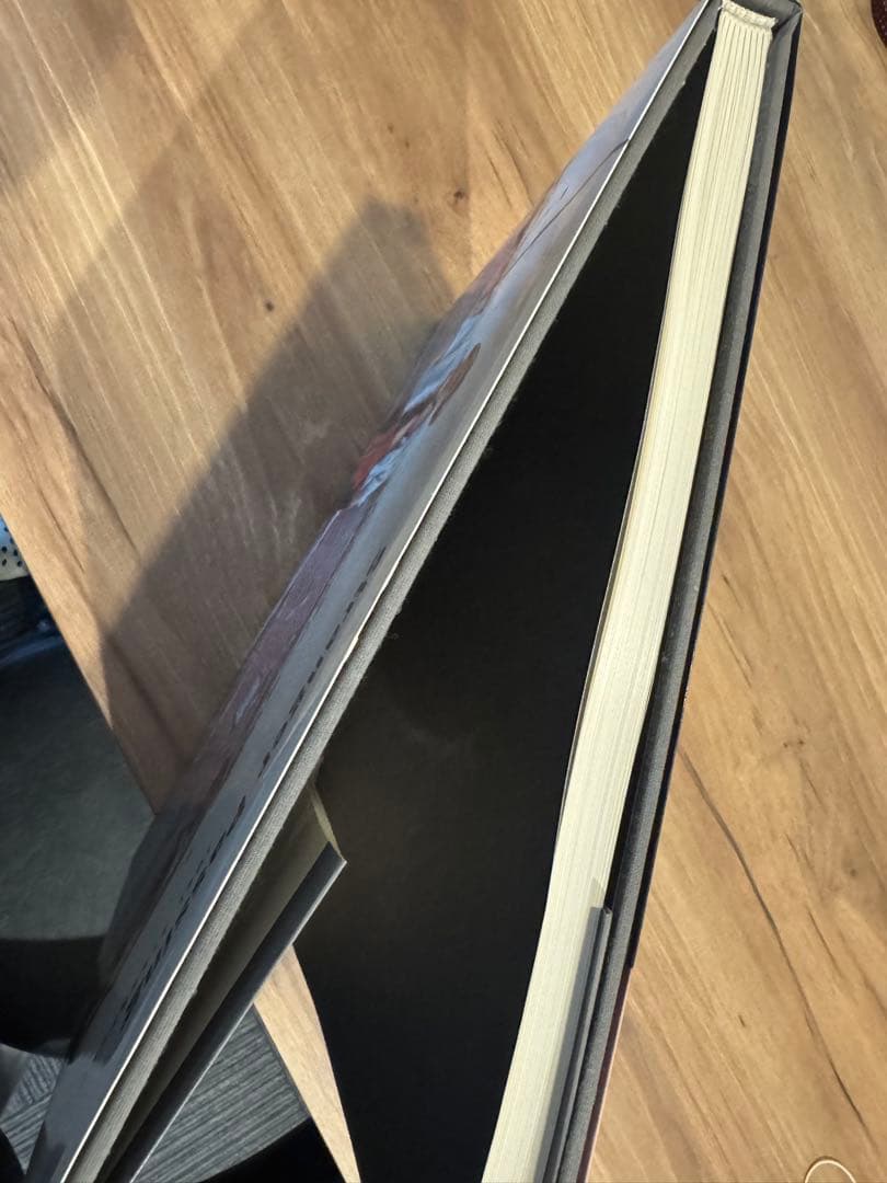 アート・デザイン・音楽 Stranger Passing Joel Sternfeld