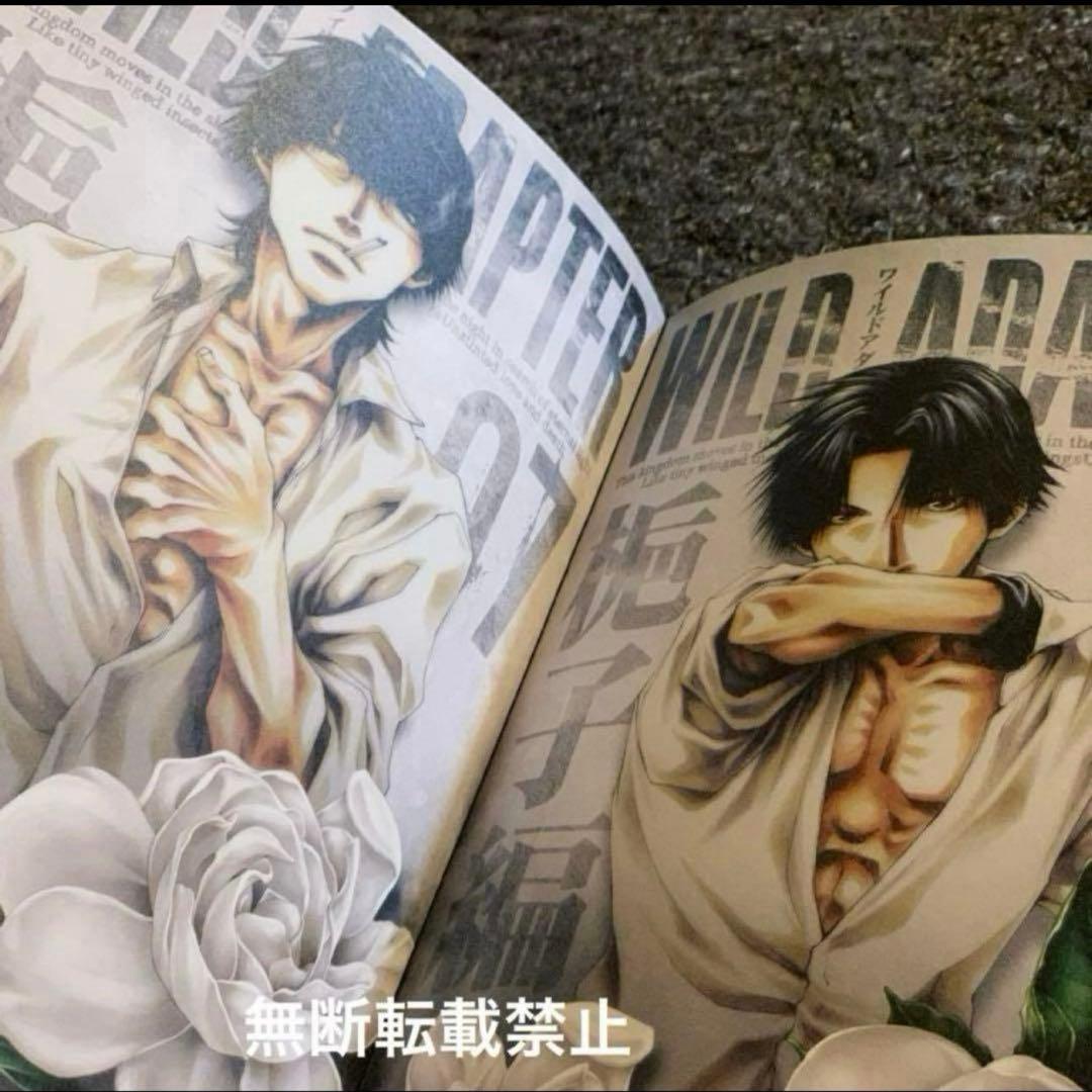 【WILD ADAPTER】特装版コミック本01〜07全巻帯、冊子付☆峰倉かずや