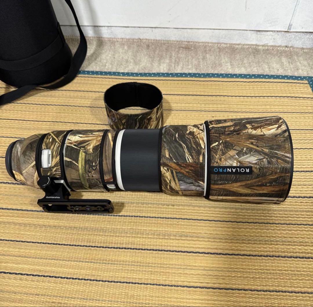 レンズ(ズーム) FE200-600mm F5.6-6.3 G OSS SEL200600G