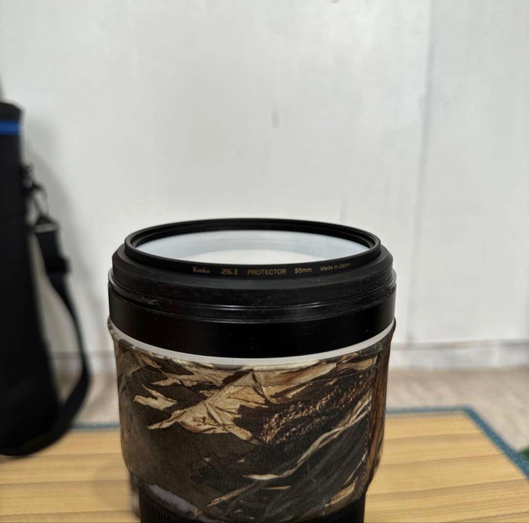 レンズ(ズーム) FE200-600mm F5.6-6.3 G OSS SEL200600G