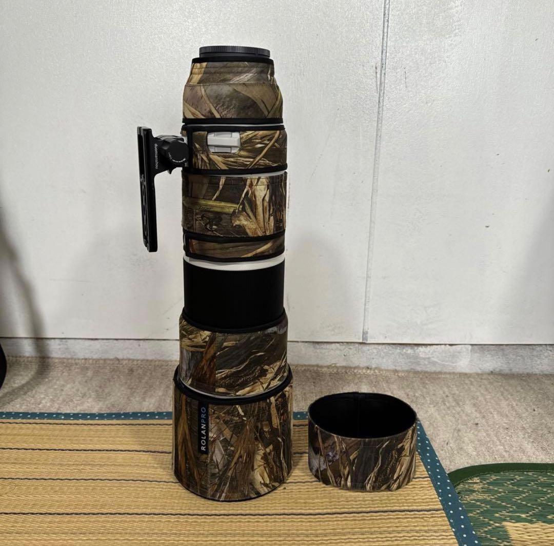 レンズ(ズーム) FE200-600mm F5.6-6.3 G OSS SEL200600G