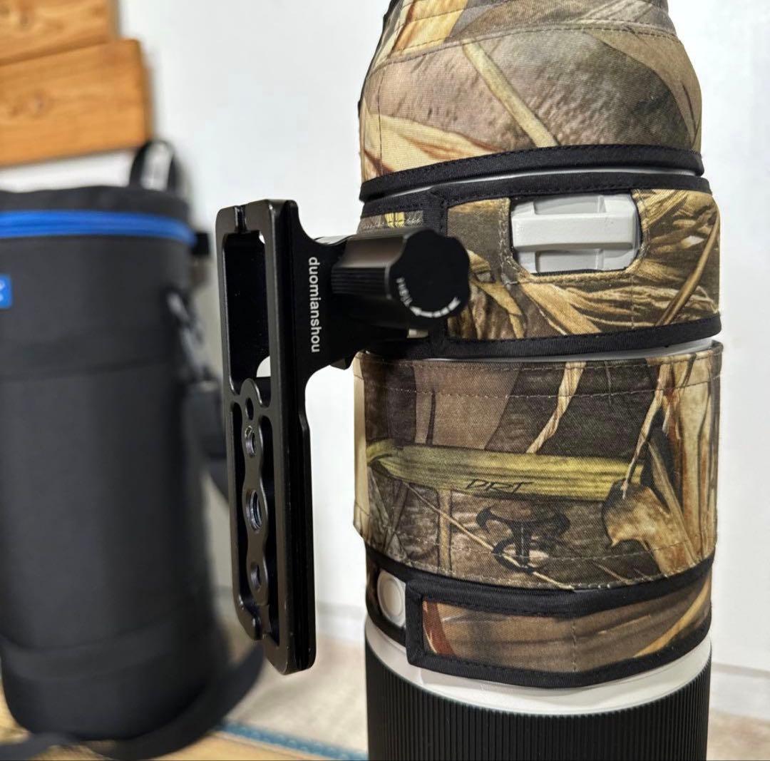 レンズ(ズーム) FE200-600mm F5.6-6.3 G OSS SEL200600G