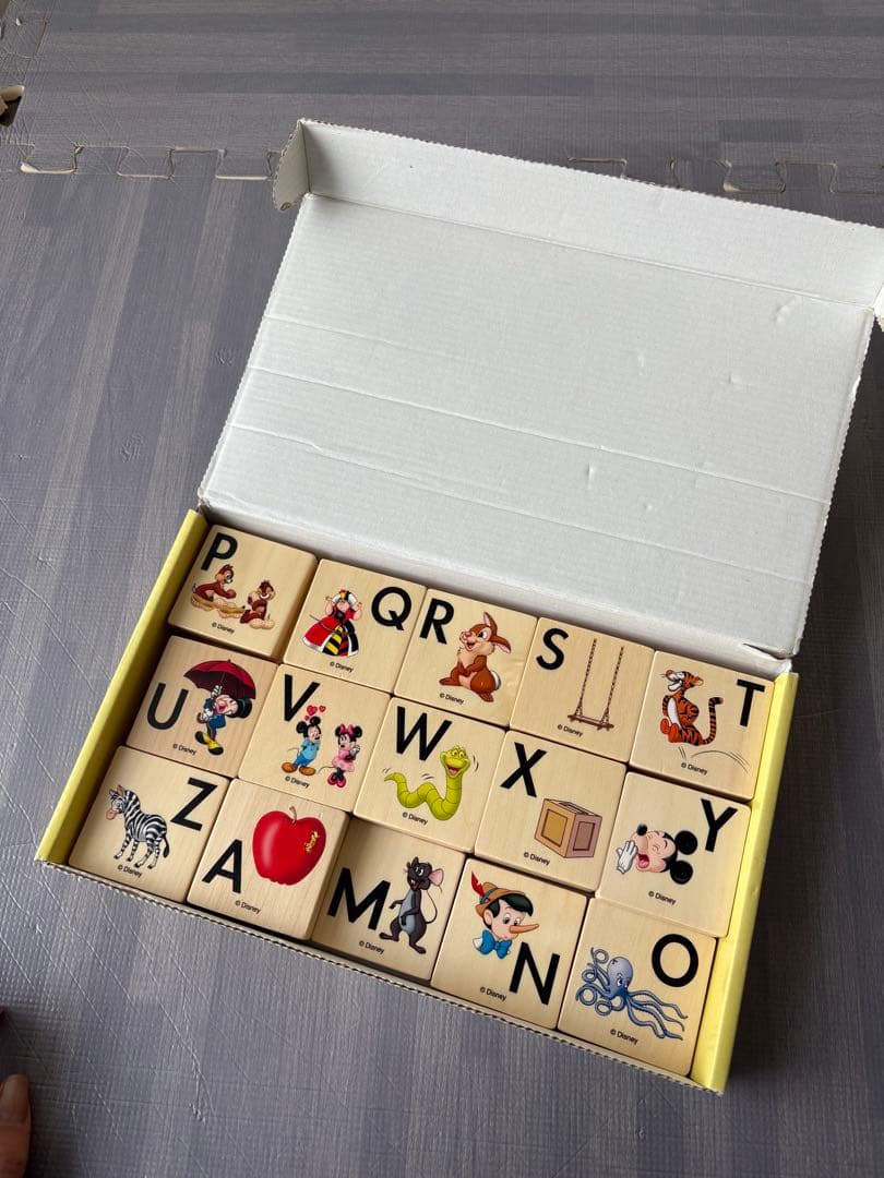 ディズニー 英語システム　絵本セット 12巻　シングアロング　プレイアロング