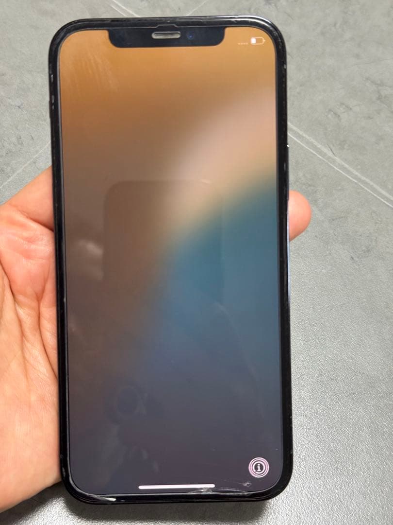 iPhoneアクセサリー Apple iPhone 12