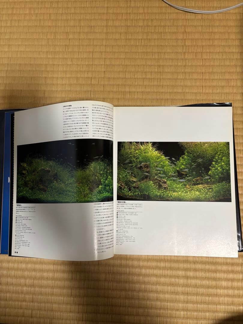 希少 絶版 ADA ✨ 天野尚 ガラスの中の大自然 水草レイアウト作品集