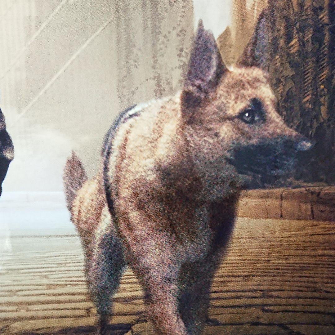 映画　ウィル・スミス アイアムレジェンド　ポスター　当時もの　長さ約1m46cm