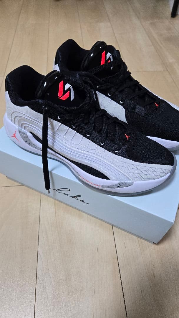 シューズ(男性用) JORDAN LUKA 4PF 30cm